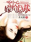 《一不小心嫁给总裁》