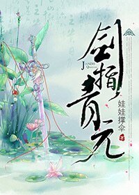 《剑指青元》