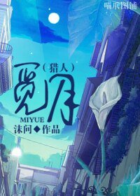 《(猎人同人)觅月》