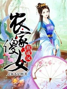 《农家傻女熬成凤》