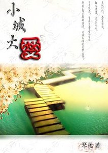 《小城大爱》