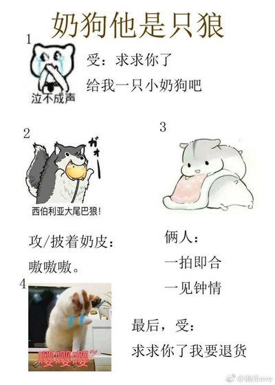 《小奶狗是狼》