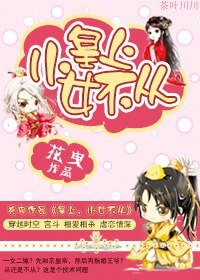 《皇上,小女不從》