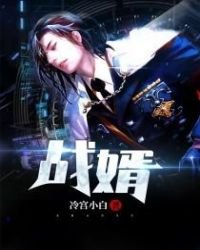 《战婿》