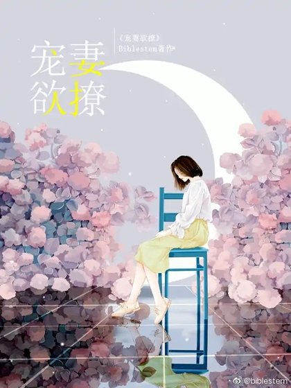 《宠妻宇撩》