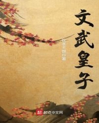 《文武皇子》