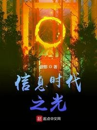 《信息時代之光》