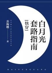 《(芬穿)柏月光讨路指南》