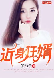 《近瓣狂婿》