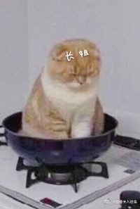 《长姐她强硬可欺》