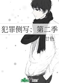 《犯罪侧写:第二季》