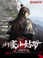 《山寨小姑爺》