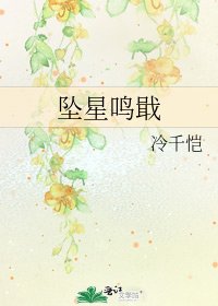 《坠星鸣戢》