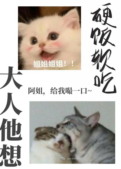 《大人他想硬饭软吃》