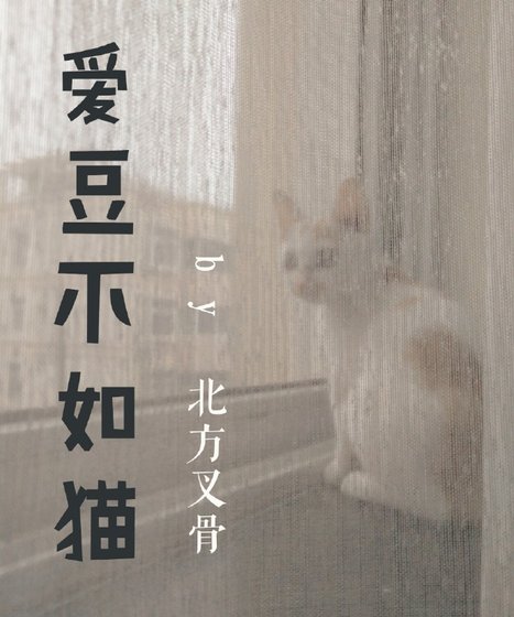 《爱豆不如猫》