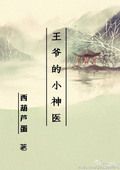 《王爷的小神医》