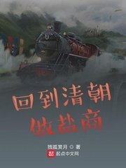 《回到清朝做盐商》