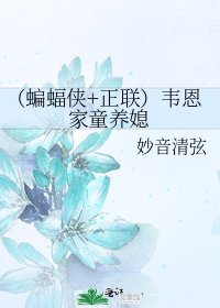 《(蝙蝠侠+正联)韦恩家童养媳》