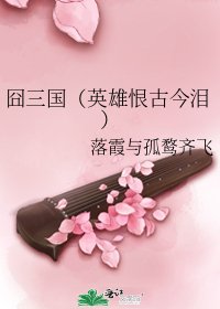 《囧三國(英雄恨古今淚)》
