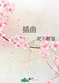 《插曲》