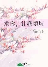 《求你,讓我填坑》