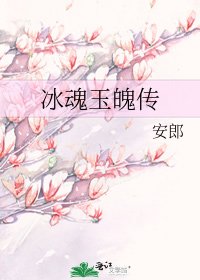 《冰魂玉魄传》