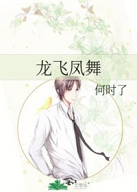 《龍飛鳳舞》