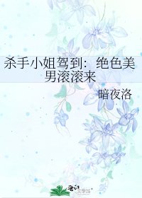 《殺手小姐駕到:絕色美男滾滾來》