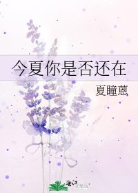《今夏你是否还在》