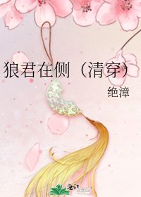 《狼君在侧(清穿)》