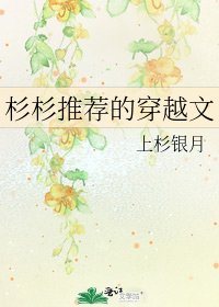 《杉杉推荐的穿越文》