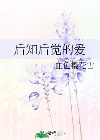 《后知后觉的爱》