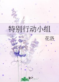 《特别行动小组》