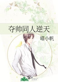 《夺帅同人逆天》