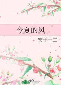 《今夏的风》