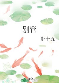 《别管》