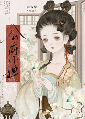 《公府小婢》