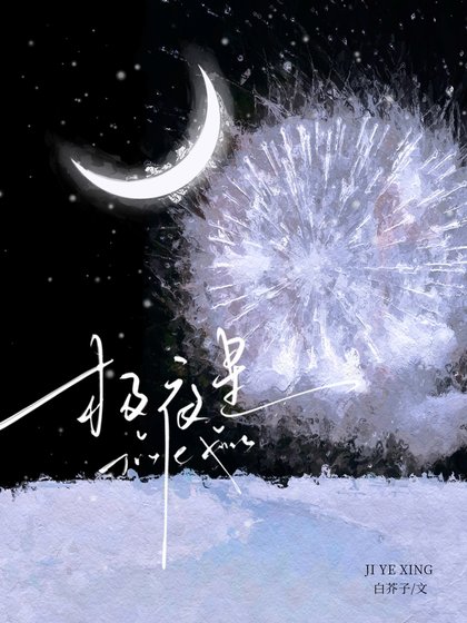 《极夜星》